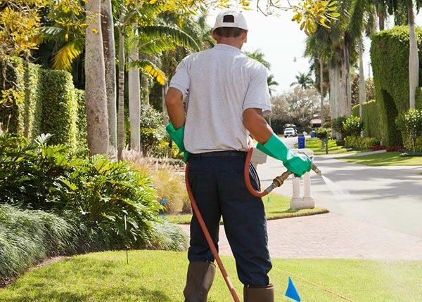 About Huntington OR Pest Control Pros
